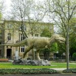 senckenberg-natural-history